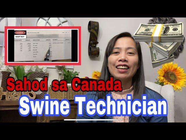 Sahod sa Canada/ Swine Technician/ Opportunity para sa mga VetMed