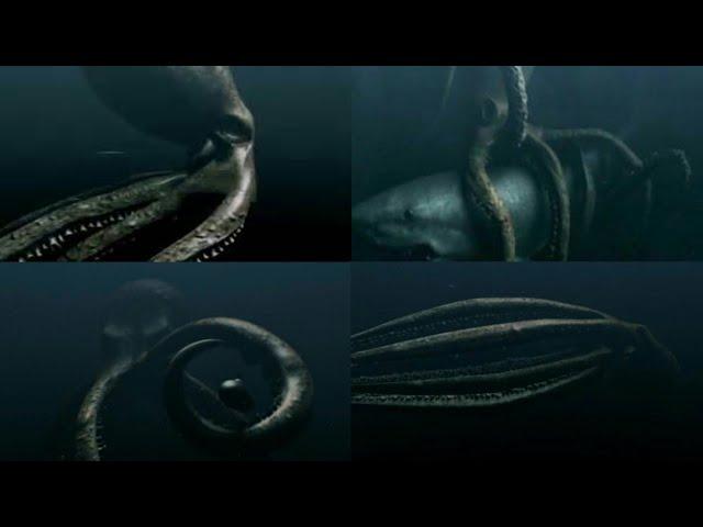 Mega Shark Versus Giant Octopus [2009] - Giant Octopus / Colossus Octopus Screen Time