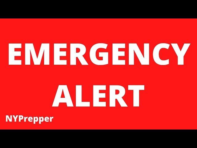 EMERGENCY ALERT!! U.S. NUCLEAR FORCES SPOOKED LAST NIGHT!! EGYPT MASSING FORCES IN THE SINAI!!