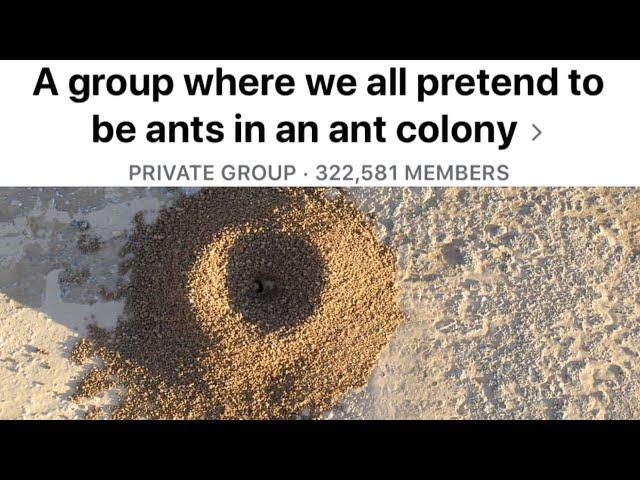 This Facebook Group Pretends To Be Ants