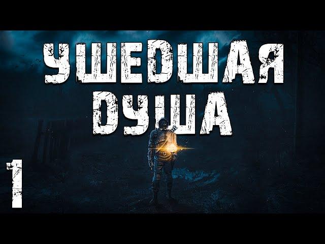 S.T.A.L.K.E.R. Ушедшая Душа #1. В Поисках Стрелка