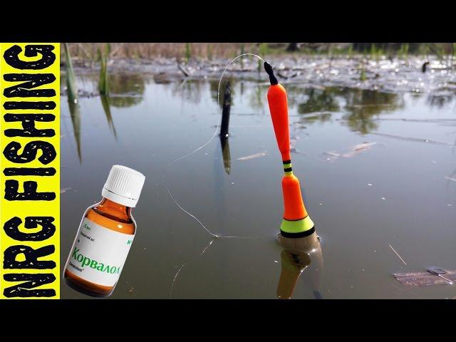 Catching crucian carp in reeds | Harvesting the crucian on the float