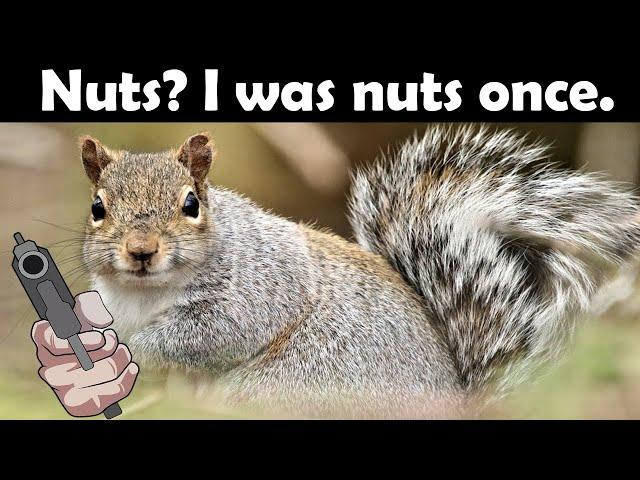 'You're Nuts' They Said. No, I'm a Squirrel. With a Gun.【Squirrel with a Gun】