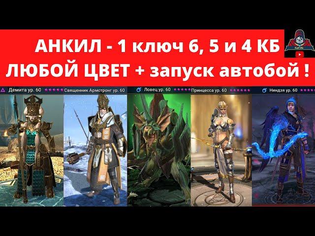 АНКИЛ Демита Священник Принцесса Ловец Ниндзя ! ВСЕ КБ за 1 ключ, все цвета 6, 5 и 4 кб АВТОБОЙ РЕЙД