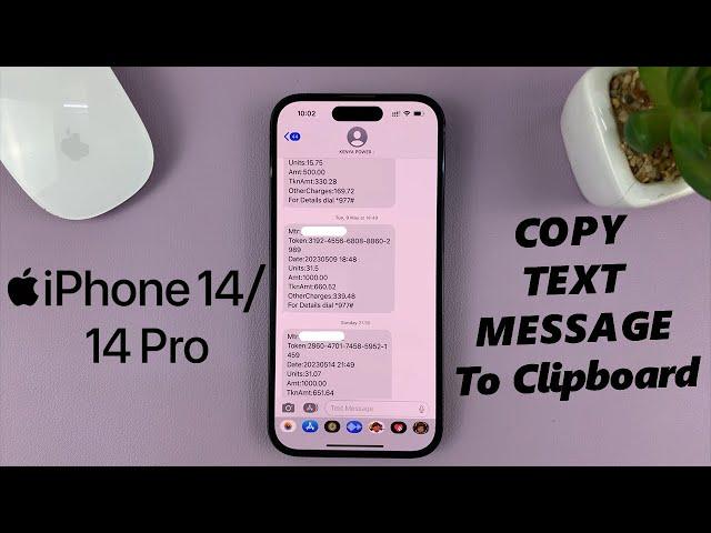 iPhone 14/14 Pro: How To Copy A Text Message To Clipboard