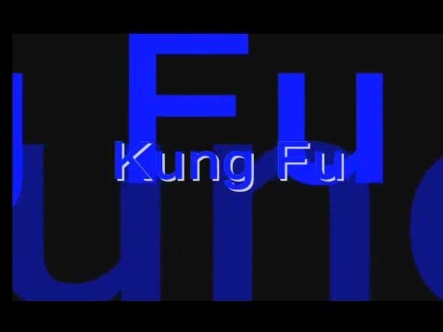 What is Kung Fu