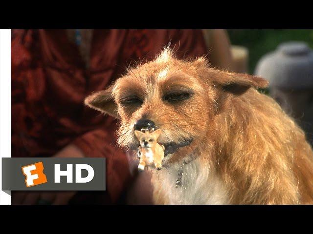 Dude, Where's My Car? (1/5) Movie CLIP - Stoner Dog (2000) HD