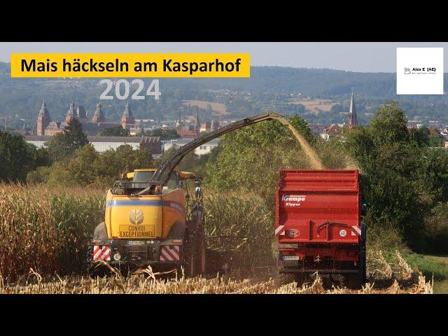 Mais häckseln am Kasparhof | Maisernte Maisfieber 2024 | Alex E