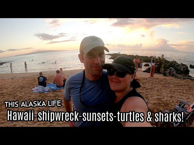 AMAZING UNDERWATER TURTLE FOOTAGE! Hawaii Vacation Continued