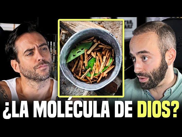 Científico experto en drogas explica la AYAHUASCA de forma realista y sin misticismo