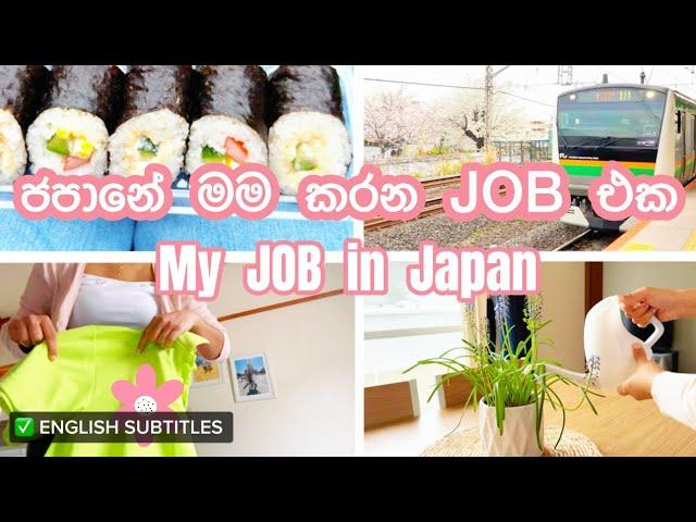 ජපානෙ මගේ job එක මොකද්ද? | What is my Job in Japan | මම කොහොමද ලේසියෙන්ම ජපානෙන් ජොබ් එකක් හොයාගත්තේ