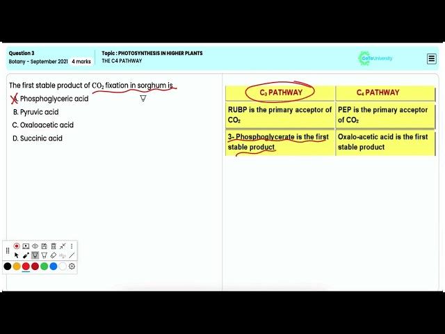 Mastering the C4 Pathway of Photosynthesis for NEET 2021 Botany | Detailed Insights on Q3