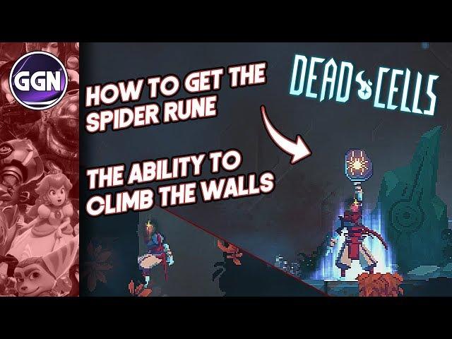 How to get the Spider Rune | the Ability to climb the walls | Dead Cells
