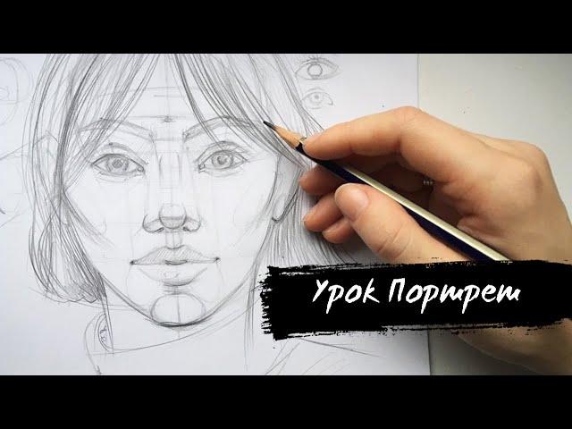 Как научиться рисовать портрет. Основы рисунка. Видеоурок для начинающих.