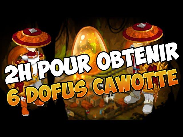 [Dofus] 2h pour le cawotte de A à Z en une seule vidéo ?