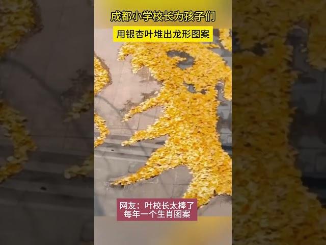 成都一小学校长为孩子们用银杏叶堆出龙形图案