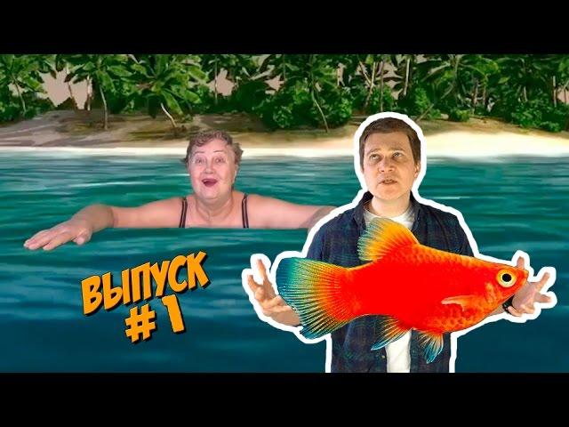 Я Comedy Dj этот канал как +100500 и this is хорошо #1