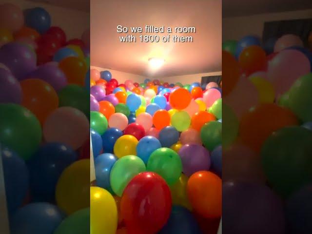 Surprising My Dog With 1800 Balloons!