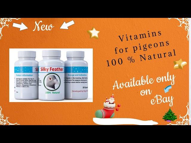 Vitamins for pigeons 100 % Natural - Silky Feathers  50 caps / bottle