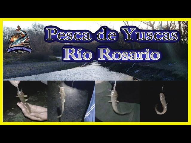 PESCA de Yuscas Rio Rosario - Salta Argentina - Yuscas FISHING - Memancing Yuscas - ЮСКАС РЫБАЛКА