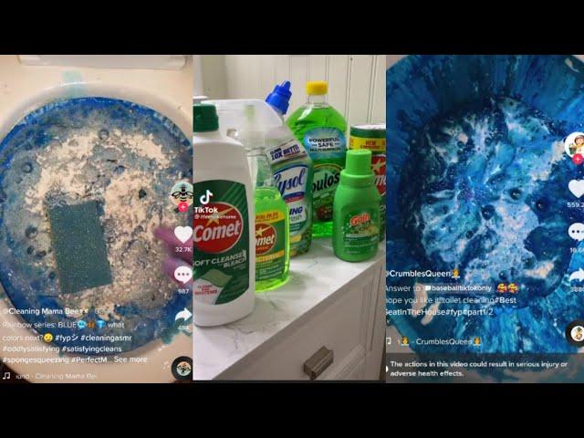 Satisfying Tiktok Compilation: Toilet Cleaning Overload!()