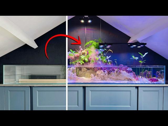 From Bedroom to Tropical Oasis: Building a Saltwater Paludarium