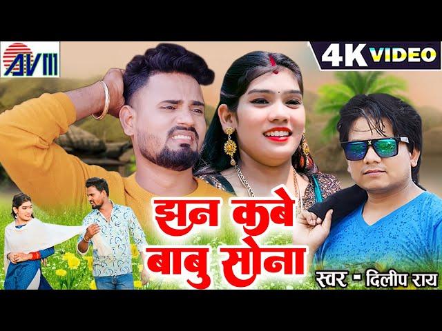 Dilip Ray | Cg Song | Jhan Kabe Babu Sona | Aarya Boss | Muskan | Chhattisgarhi Gana | AVM GANA