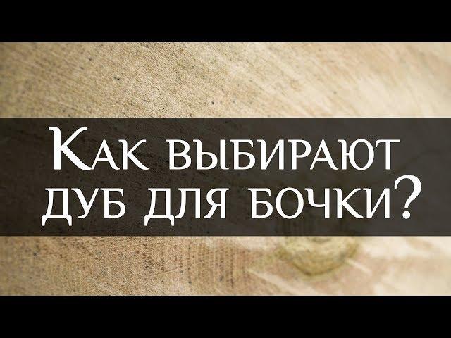 How to choose oak for the wine barrel | Bondarnaya Lavka