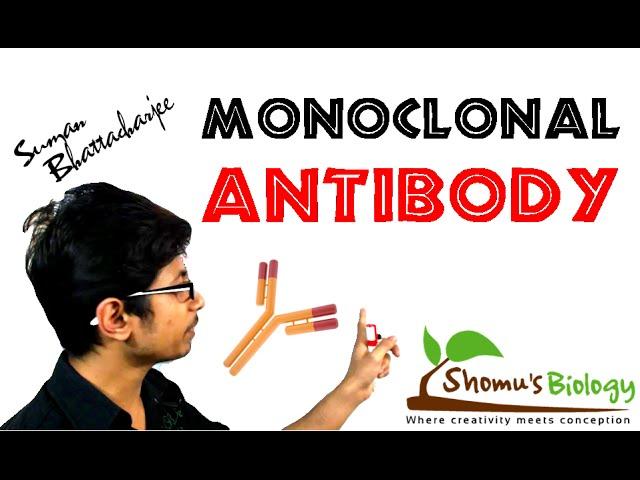 Monoclonal antibody | monoclonal antibody production using hybridoma technology