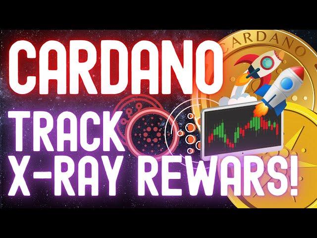 Ray Network (XRAY) on Cardano & Free Airdrop When Staking ADA! How to Track X-RAY Token Rewards?