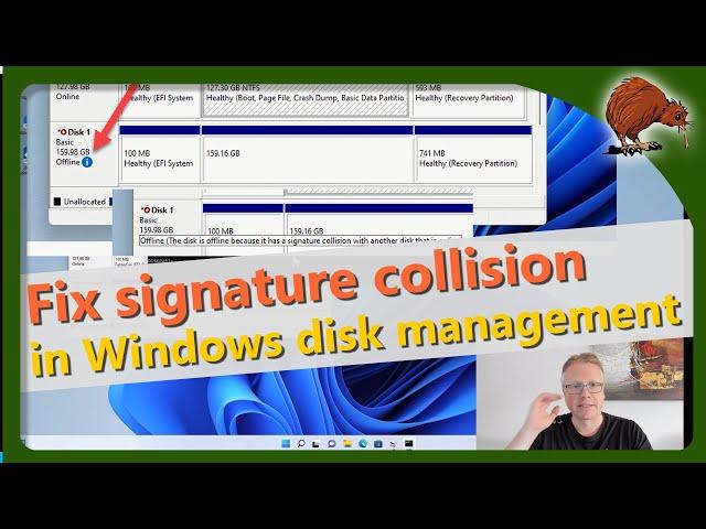 Windows: disk offline with signature collision in disk management