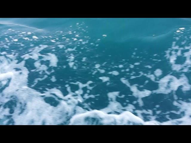 sea foam, waves - free video backgrounds