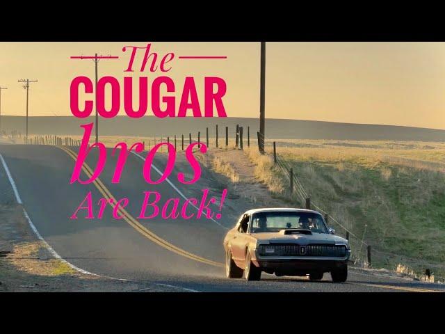 The Cougar Bro’s Are Back!