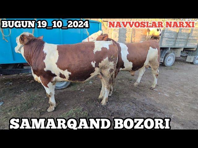 JUMA MOL BOZORI NAVVOSLAR XAMDA MAYDA NAVVOSLAR NARXI UTKIR UZ 90 505 29 30