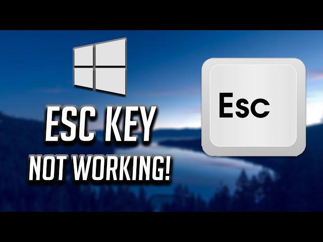 ESC Key Not Working In Windows 10 - [5 FIXES]