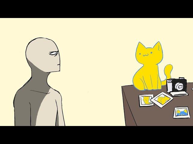 what the cat is doing animation by telepurte