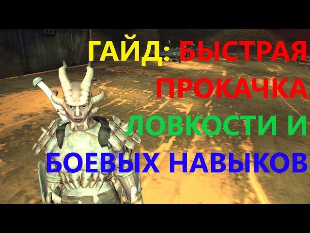 Кенши Гайд Быстрая Прокачка Ловкости и Всех Боевых Навыков