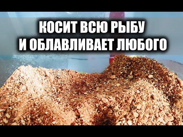 ЭТО БОМБА! ЛУЧШАЯ ФИДЕРНАЯ ПРИКОРМКА СВОИМИ РУКАМИ, ПРИКОРМКА ДЛЯ РЫБАЛКИ И ЛОВЛИ ВСЕЙ РЫБЫ