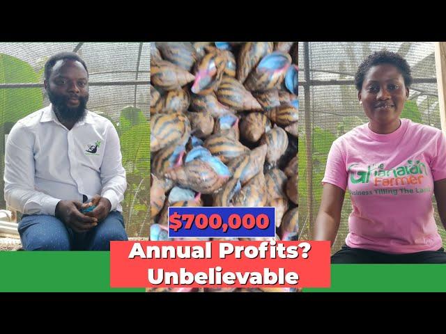 How My 7 Years Of Snail Farming, Installing Greenhouses & Exporting Made Me Profits Of $700,000