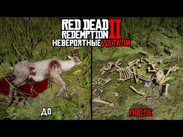 30 Невероятных Деталей в Red Dead Redemption 2 (Мелкие Детали в RDR 2)