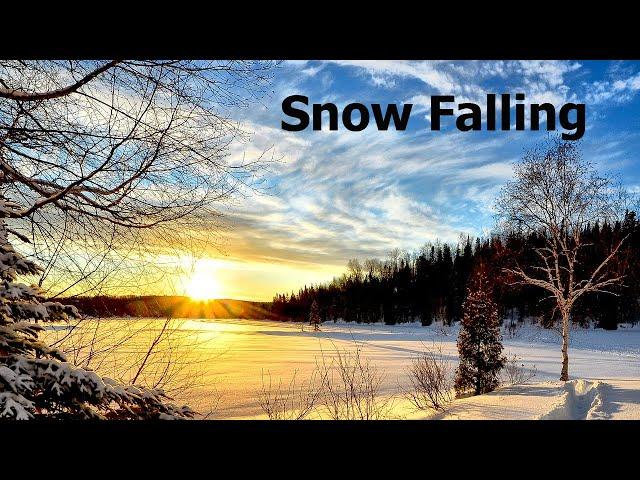 Sleep with Snow Falling on Lake with Relaxing Music for Relaxation, Meditation, Sleep