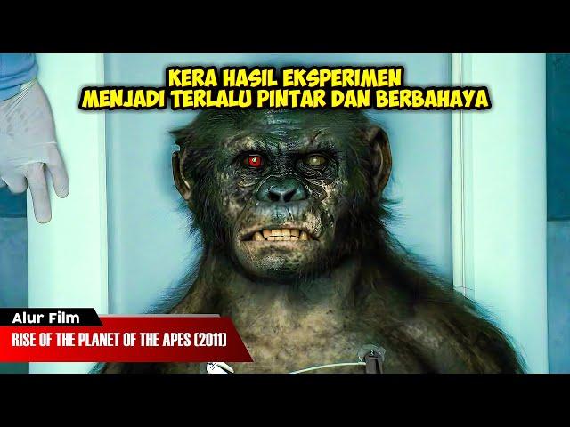 EKSPERIMEN KERA BER IQ 999 YG MEMBAWA BENCANA | ALUR CERITA FILM RISE OF THE PLANET OF THE APES