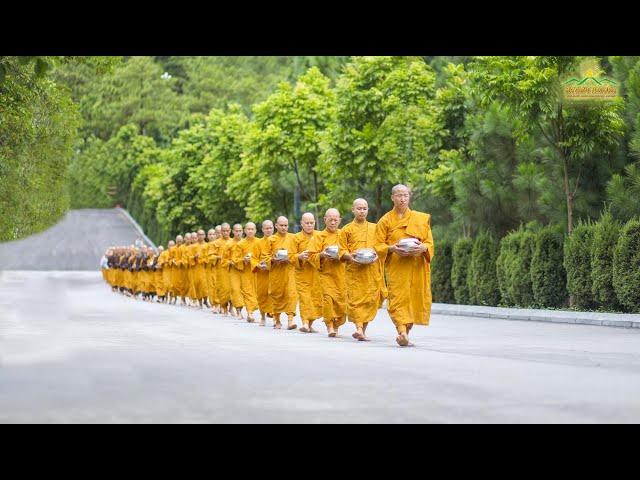 Alms Round - A Beautiful Tradition Of Buddhism | Ba Vang Pagoda Vietnam