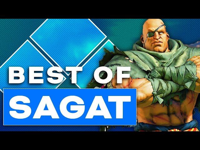 The Best of Sagat at Evo