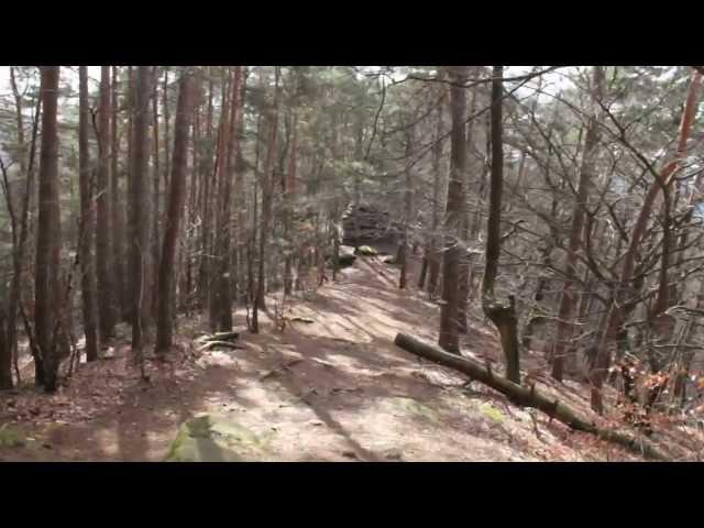 Wanderung zu Burgen im Grenzgebiet zum Elsass