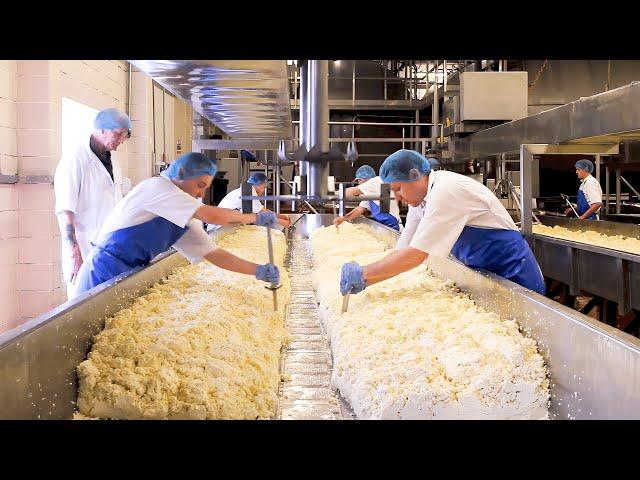 Amazing Process of Making CHEESE You Have Never Seen Before