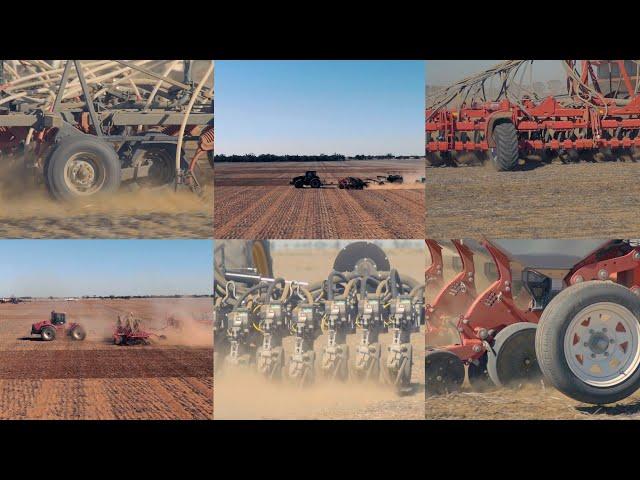 BCG seeder demo day | comparing crop establishment