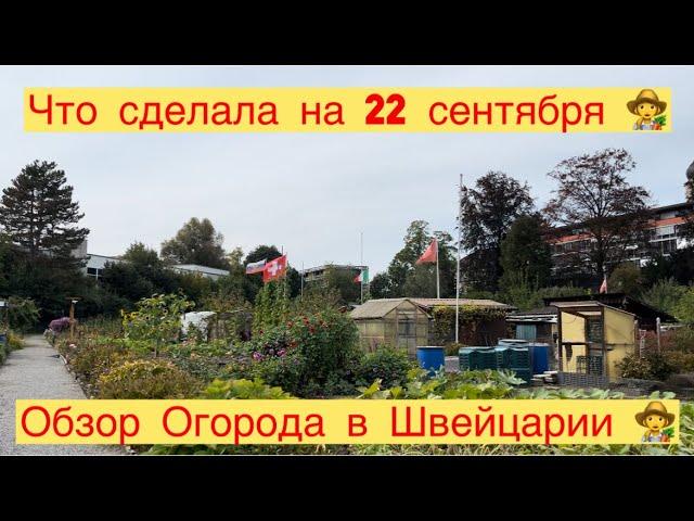 ОБЗОР ОГОРОДА В ШВЕЙЦАРИИ ‍ЧТО СДЕЛАЛА НА 22 сентября ‍