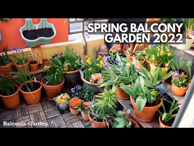 Spring Balcony Garden Tour 2022! Balconia Garden