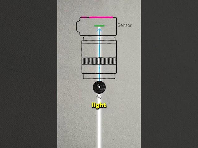 How to use your camera in full manual mode the easy way #cameratips #photography